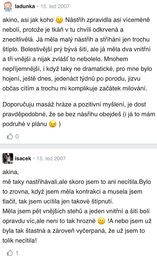 Nástřih hráze – zkušenosti Modrykonik